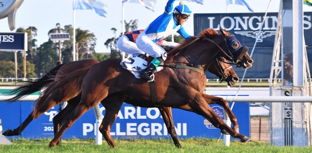 El Encinal into 41st Breeder’s Cup World Championship