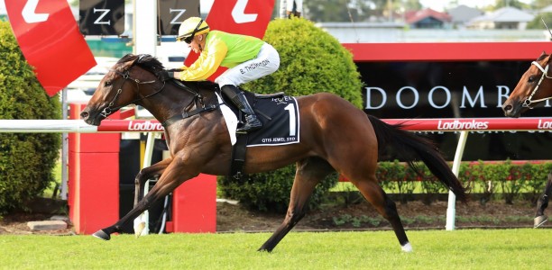All That Pizzazz Gollan’s giant-killing hope