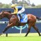 Online bookmaker launches $2.50 Special on boom colt Storm Boy