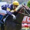 Three on the trot for Gitalong