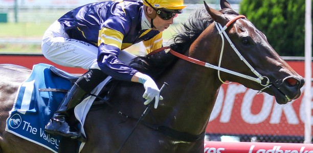 Three on the trot for Gitalong