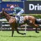 Tulloch Lodge juvenile Charges into Magic Millions Classic contention