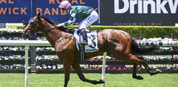 Tulloch Lodge juvenile Charges into Magic Millions Classic contention