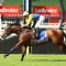 Storm Boy lives up to hype at Eagle Farm