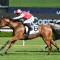 Punters to Roar if Summer Cup betting move comes off