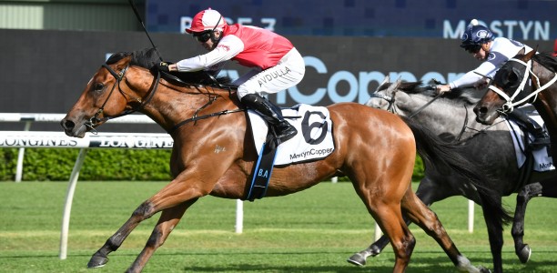 Punters to Roar if Summer Cup betting move comes off