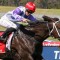 Consistent Savannah Cloud returns at Flemington