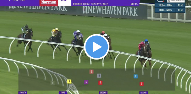 Triscay Stakes results and replay – 2024