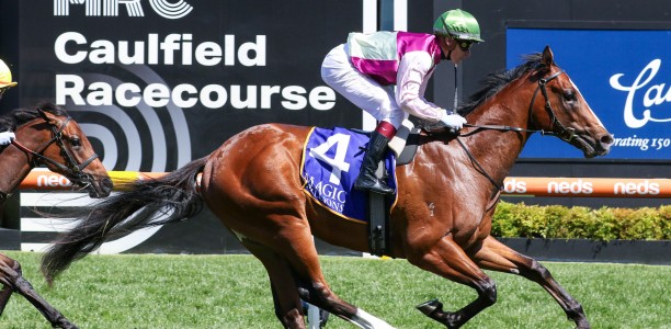Blue Diamond Stakes Likely Field & Horses – 2024