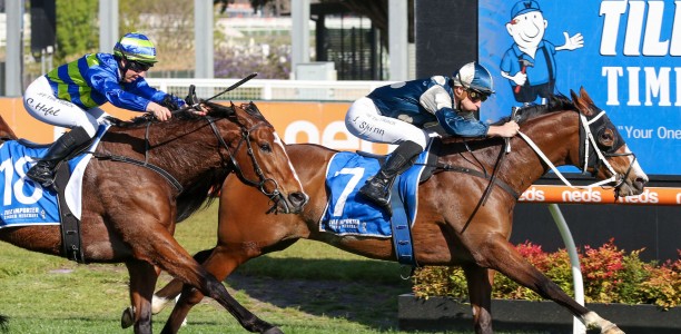 Talented stayer Soulcombe’s bad luck continues