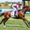 Blue Diamond Stakes odds suggest a wide open field