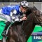 Weather key to Melbourne Cup winners return