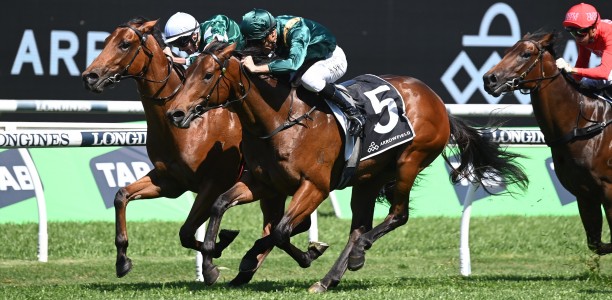 Silver lining for Golden Slipper hopefuls