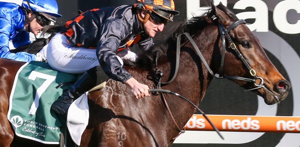 Benedetta primed for first-up G1 assault in Oakleigh Plate