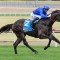Improvement expected second-up from Pericles