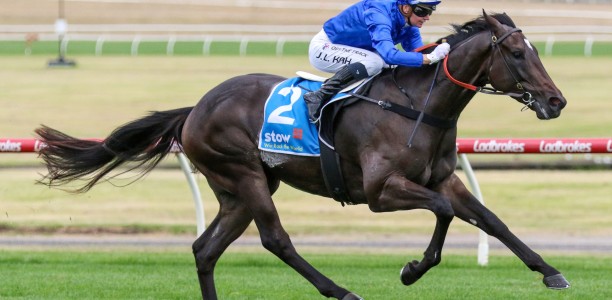 Improvement expected second-up from Pericles