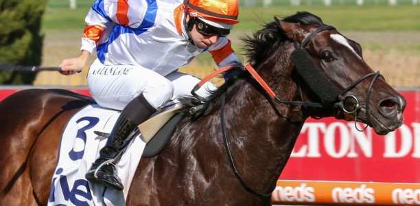Veight humming ahead of Australian Guineas
