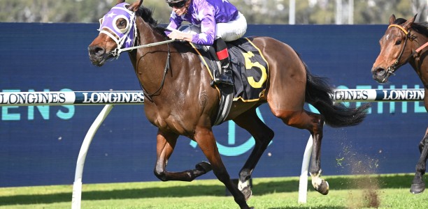 Star mare short odds in the Guy Walter Stakes