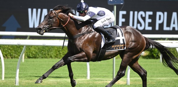 Sydney colt chases three straight