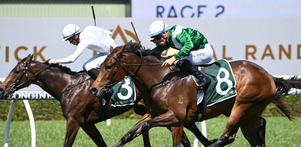 Fillies’ feature looks Sweet pickings for Manaal