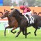 Tropical Squall too tough in Surround Stakes
