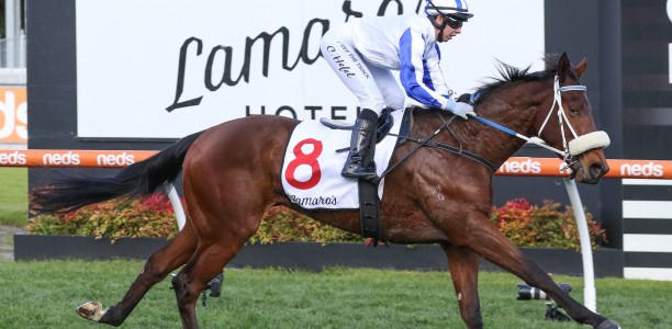Moody and Coleman pair meet in Kewney Stakes