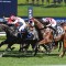 Bridge produces Randwick Guineas special to join elite company