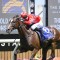 Gai Waterhouse stayer heads odds in the Canberra Cup