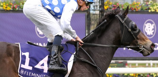 Adelaide Cup distance a question mark for Excelleration