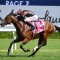 Gai Waterhouse filly skinny odds in Black Opal Stakes at Canberra