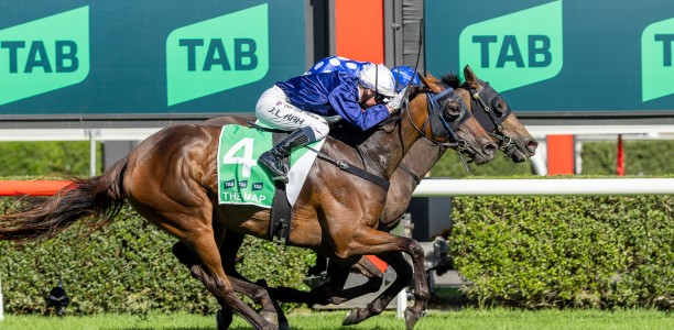 Excelleration wins a thrilling Adelaide Cup