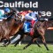Racing Victoria fail to fill All Star Mile field