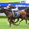 Maher confident in Semana’s Coolmore Classic prospects