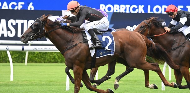 Maher confident in Semana’s Coolmore Classic prospects