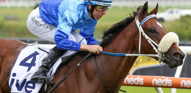 Eneeza short odds in the Magic Night Stakes at Rosehill