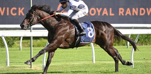 Ajax test for in-form Baker gelding