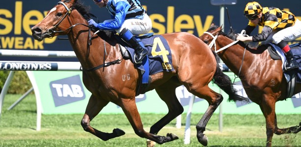 Glamour on notice to show her best side in Kembla Grange Classic