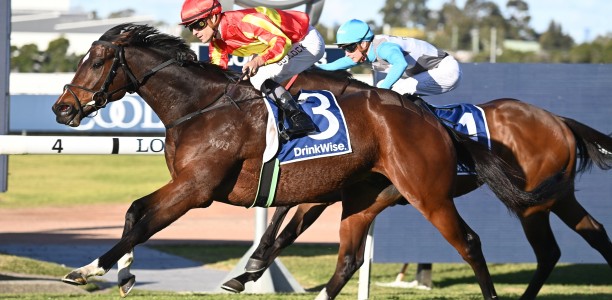 Attractable adds different element to the All-Star Mile