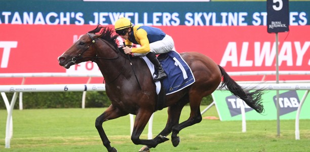 Golden Slipper Likely Field – 2024