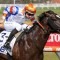 Veight chases Group 1 in George Ryder Stakes