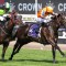 William Reid Stakes 2024 – Field Preview, Odds, Horses, Speed Map and Betting Tips