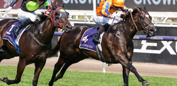 William Reid Stakes 2024 – Field Preview, Odds, Horses, Speed Map and Betting Tips