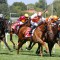 Exciting New Zealand mare heads odds in Sunline Stakes