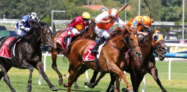Exciting New Zealand mare heads odds in Sunline Stakes