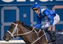 Winx’s first foul draws international attention