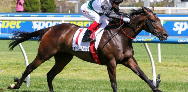 Mr Brightside and Pride Of Jenni heads odds in Australian Cup