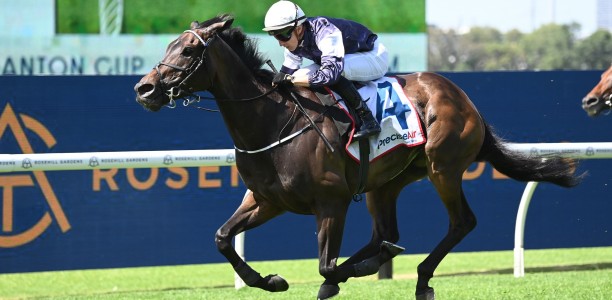 Tancred Stakes 2024 – Field Preview, Odds, Horses, Speed Map and Betting Tips