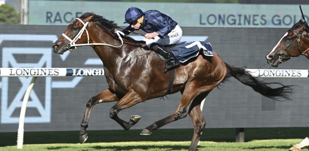 All Aged Stakes target for resuming Shinzo
