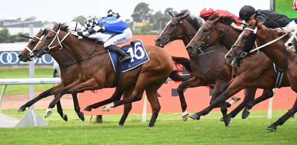More Felons to Lodge serious Tancred Stakes bid