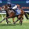 Boom colt Switzerland to undergo surgery